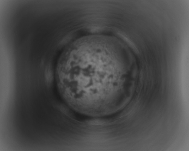 X0000101400691200807071219