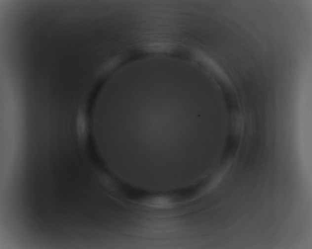 X0000101400692200807071219