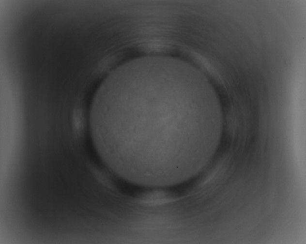 X0000101400695200807071219