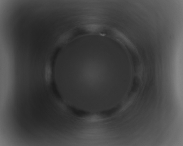 X0000101400696200807071219