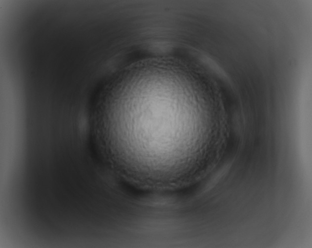 X0000101400697200807071219