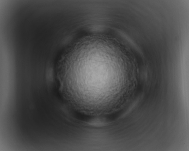 X0000101400700200807071219