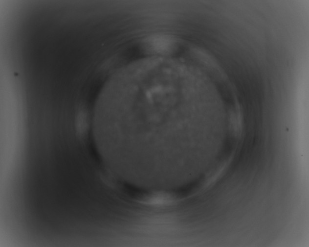 X0000101400701200807071219