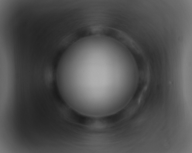 X0000101400702200807071219