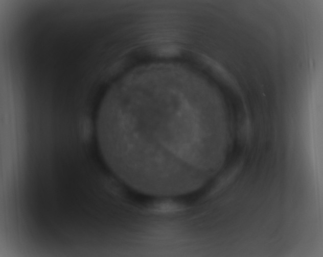 X0000101400704200807071219