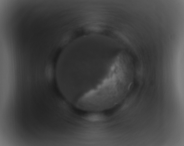 X0000101400708200807071219