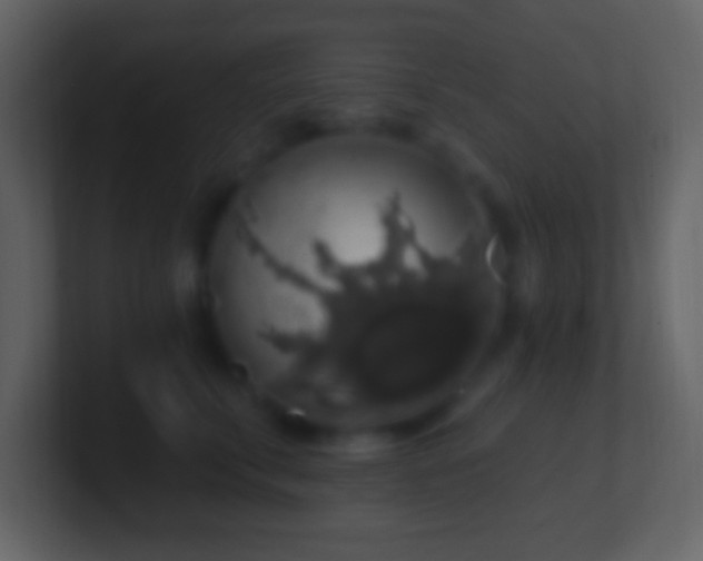 X0000101400711200807071219
