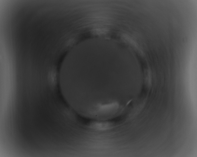 X0000101400712200807071219