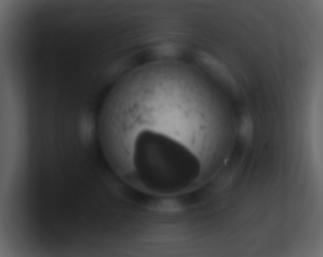 X0000101400715200807071219