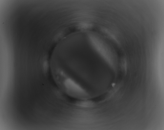 X0000101400716200807071219