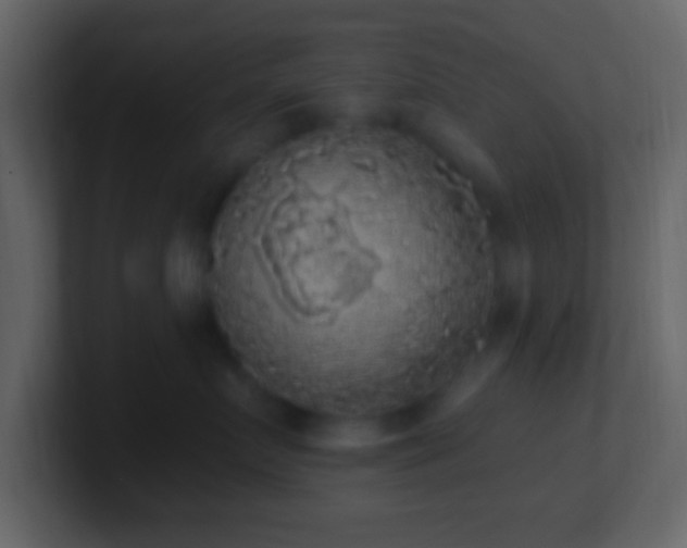 X0000101400719200807071219