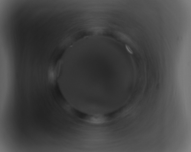 X0000101400720200807071219