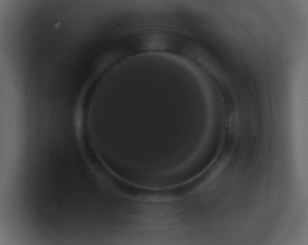 X0000101400722200807071218