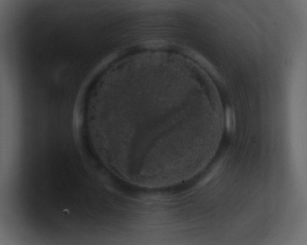 X0000101400723200807071218