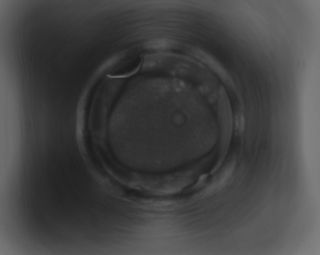 X0000101400724200807071218