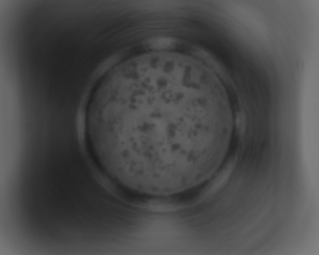 X0000101400725200807071218