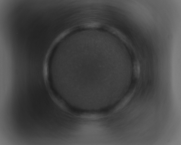 X0000101400726200807071218