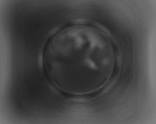 X0000101400729200807071218