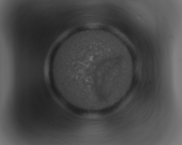 X0000101400730200807071218