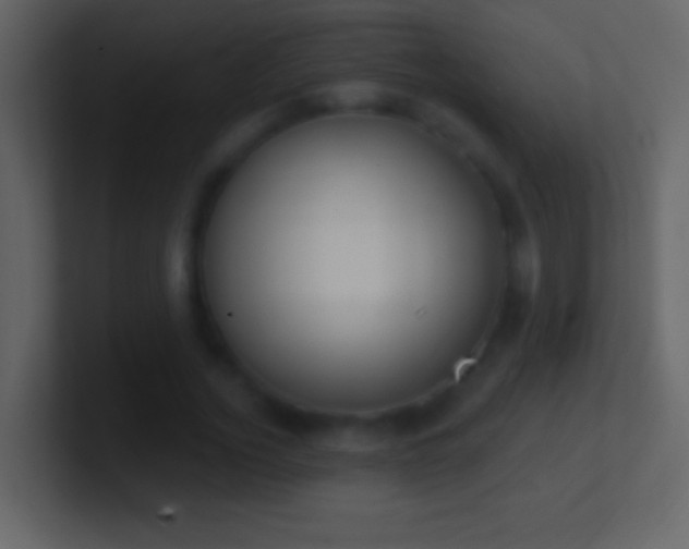 X0000101400732200807071218