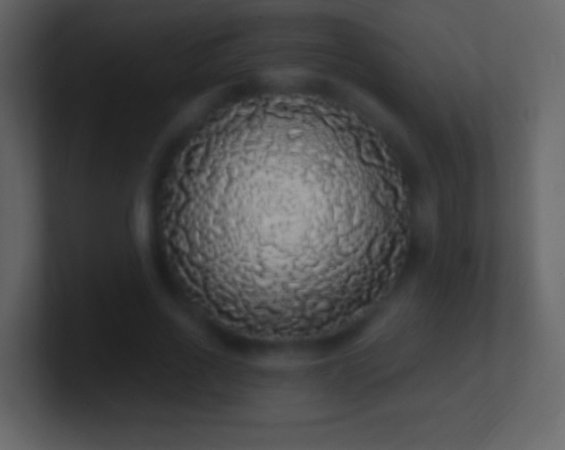X0000101400734200807071218