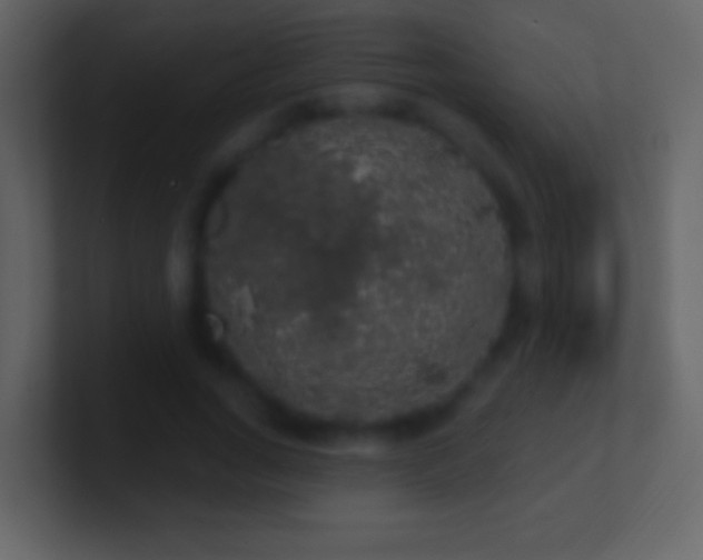 X0000101400735200807071218
