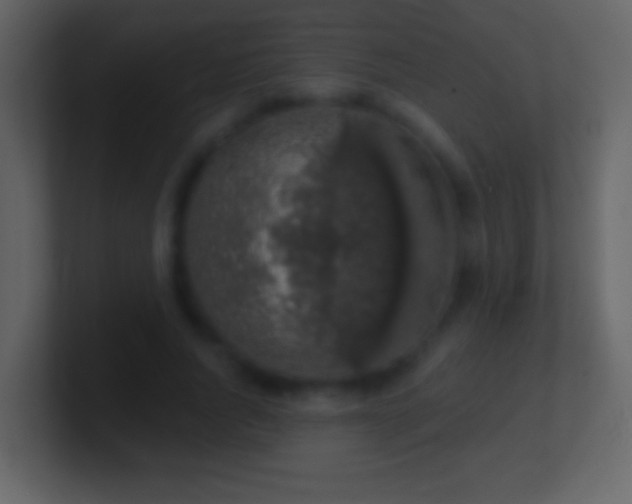X0000101400736200807071218