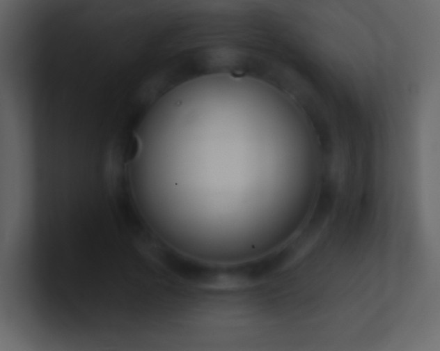 X0000101400737200807071218