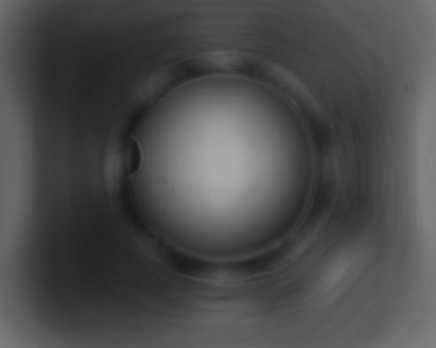 X0000101400739200807071218