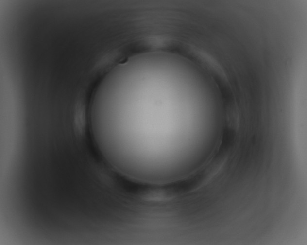 X0000101400740200807071218