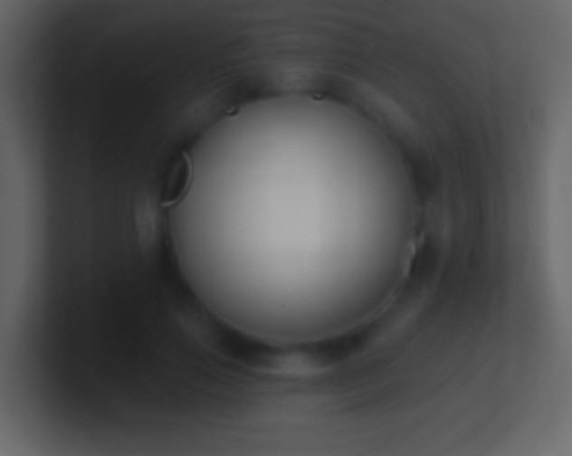 X0000101400741200807071218