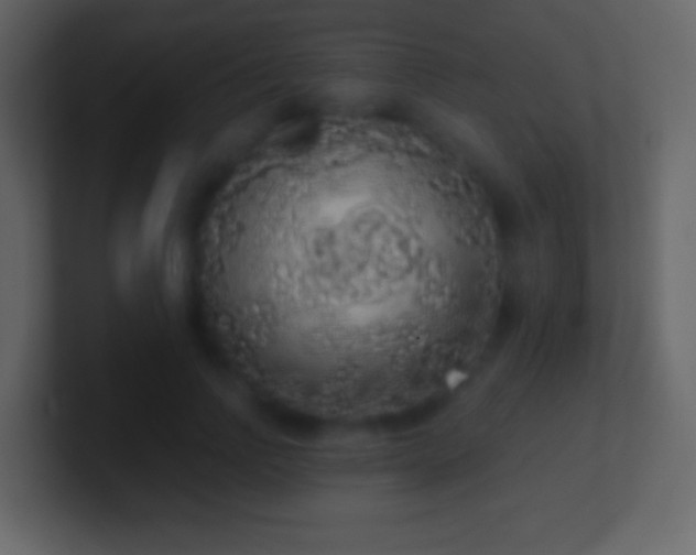 X0000101400742200807071218
