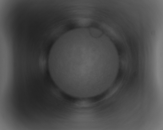 X0000101400745200807071218