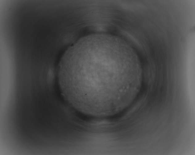 X0000101400747200807071218