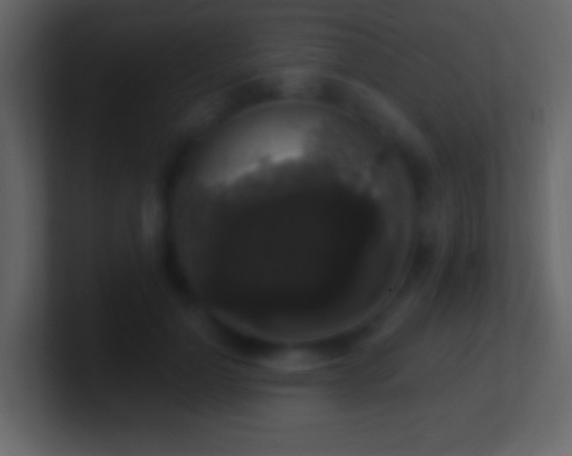 X0000101400748200807071218