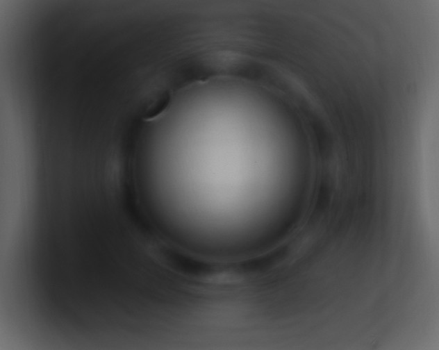 X0000101400750200807071218