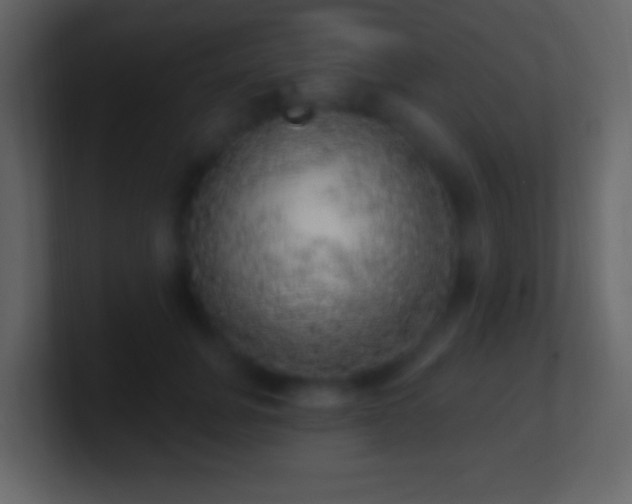 X0000101400751200807071218