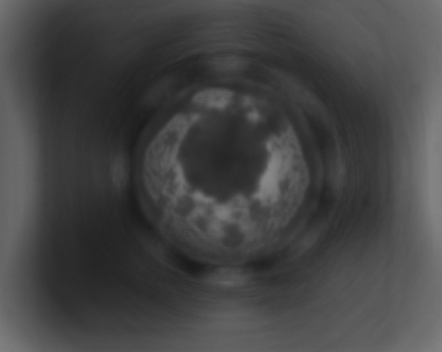 X0000101400758200807071218