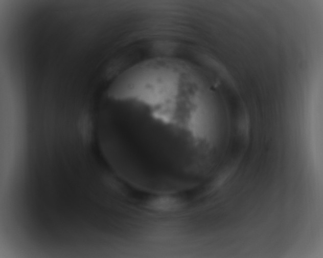 X0000101400759200807071218