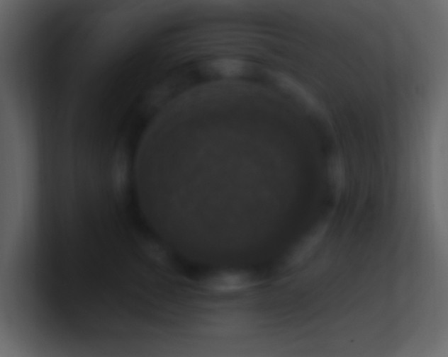 X0000101400760200807071218