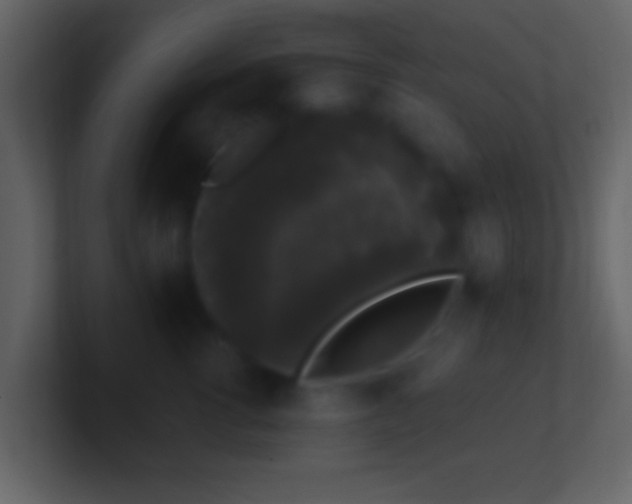 X0000101400762200807071218