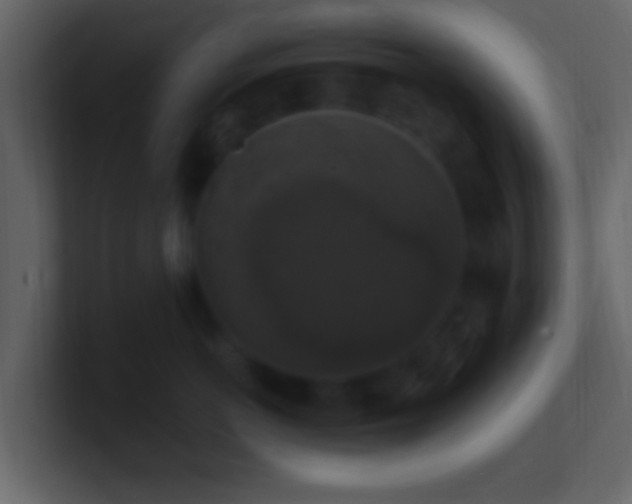 X0000101400766200807071219