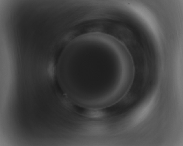 X0000101400767200807071219