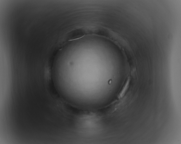 X0000101400772200807071218