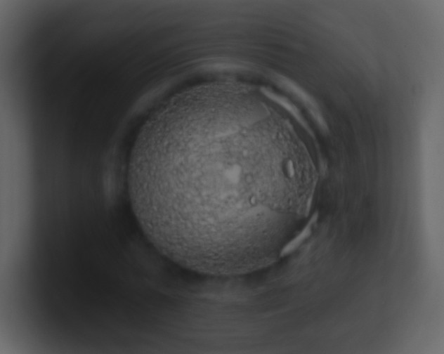 X0000101400775200807071218
