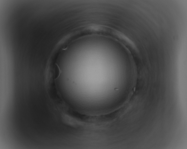 X0000101400776200807071218