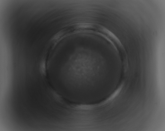 X0000101400777200807071218