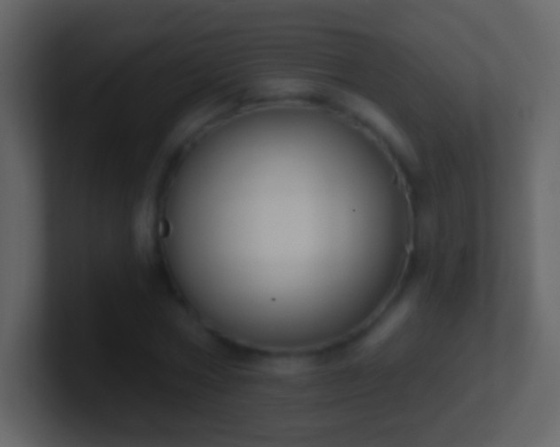 X0000101400778200807071218