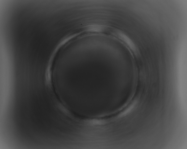 X0000101400779200807071218