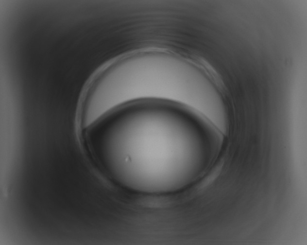 X0000101400780200807071218